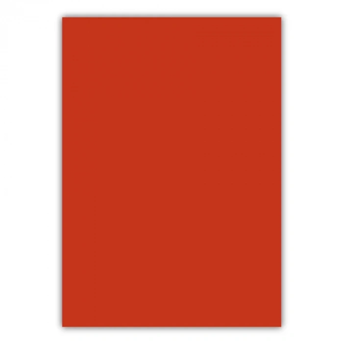 Bigpoint A4 Cilt Kapağı 150 Mikron Opak Kırmızı 100lü Paket