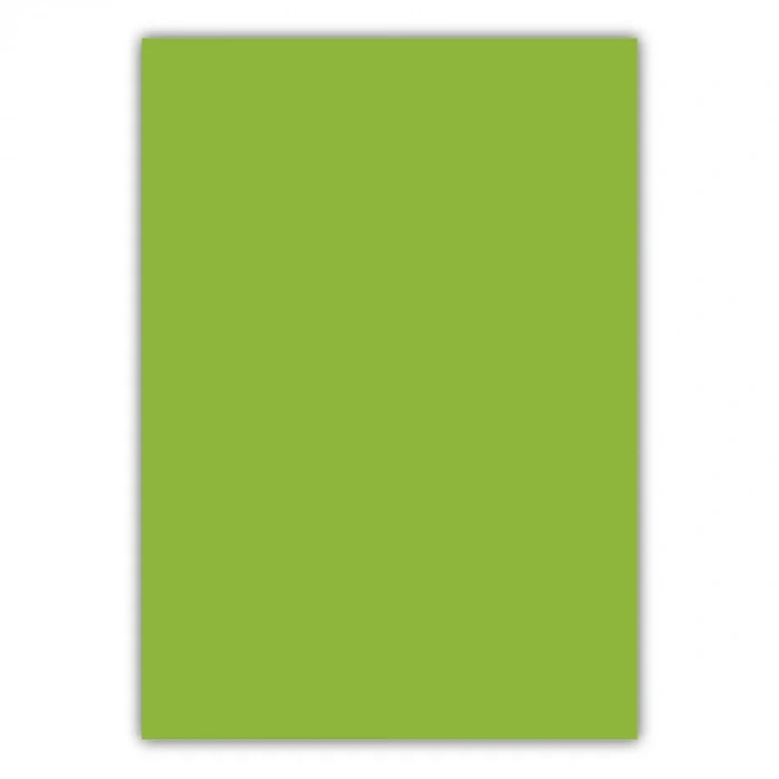 Bigpoint A4 Cilt Kapağı 150 Mikron Opak Açık Yeşil 100lü Paket