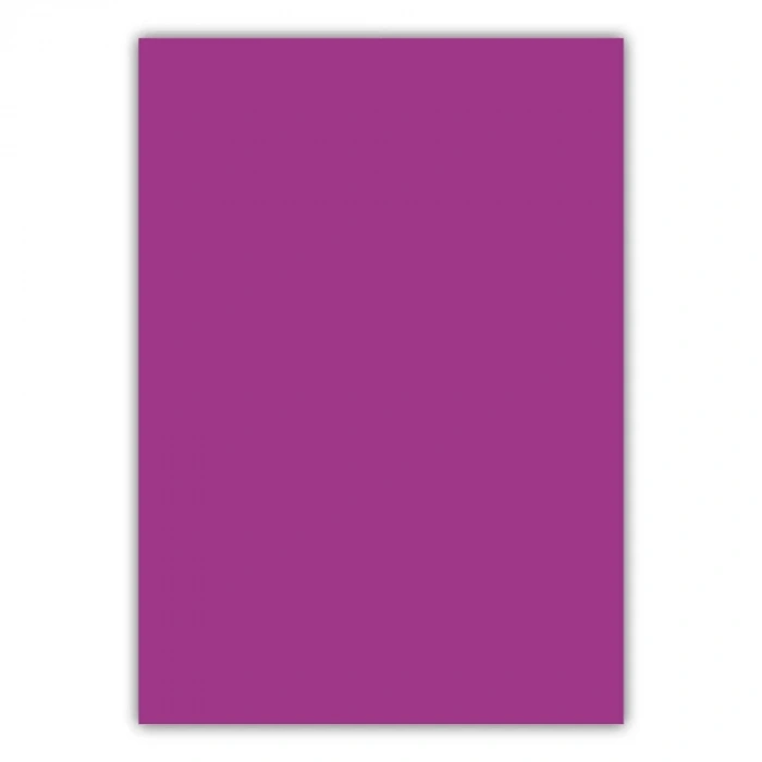 Bigpoint A4 Cilt Kapağı 150 Mikron Opak Mor 100lü Paket