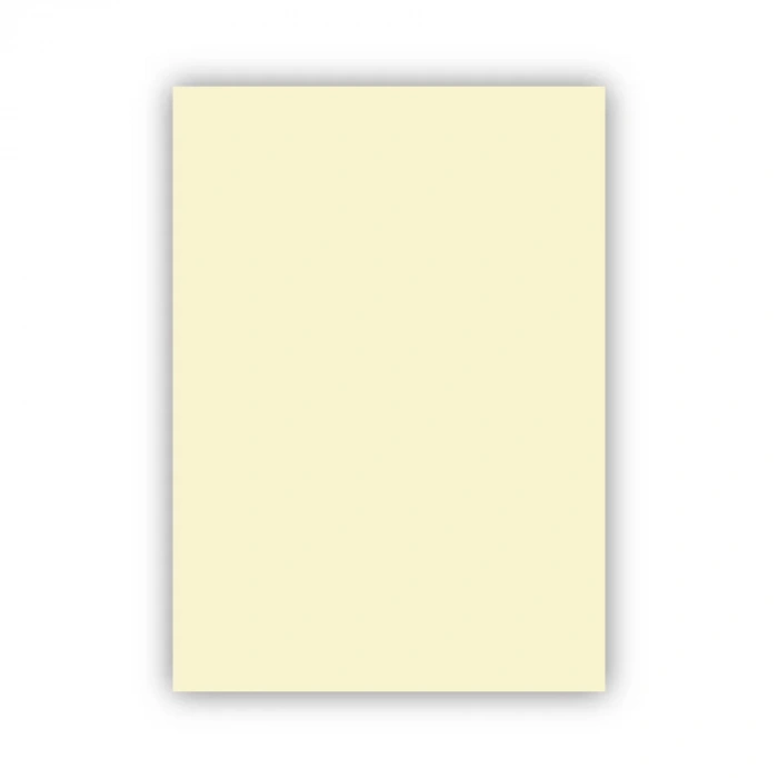 Bigpoint Fon Kartonu 50x70cm 160 Gram Fildişi