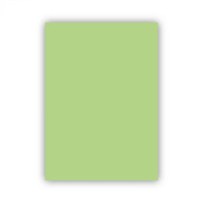 Bigpoint Fon Kartonu 50x70cm 160 Gram Uçuk Yeşil