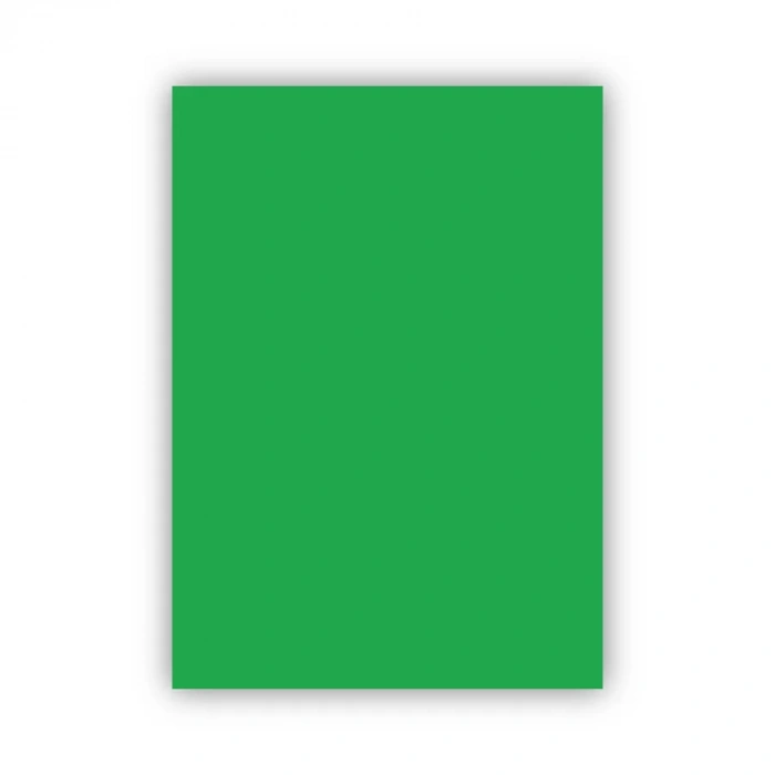 Bigpoint Fon Kartonu 50x70cm 160 Gram Yeşil