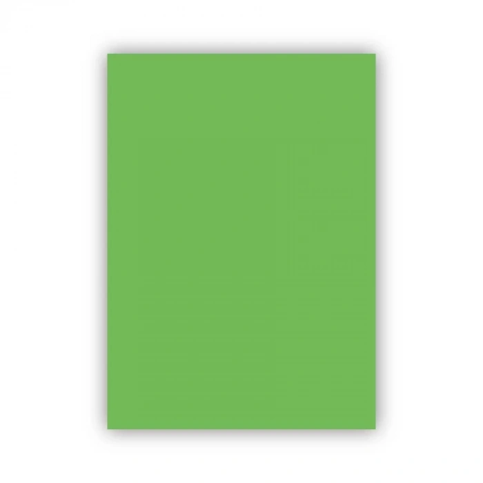 Bigpoint Fon Kartonu 50x70cm 120 Gram Açık Yeşil
