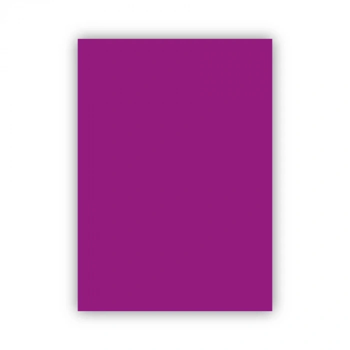 Bigpoint Fon Kartonu 50x70cm 120 Gram Mor