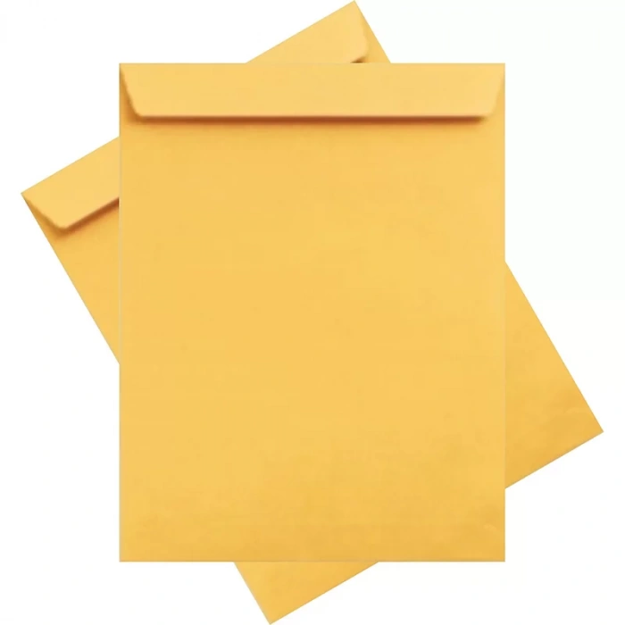 ASİL FORMULA 25 Lİ 24x32 TORBA ZARF 100gr AS-11126