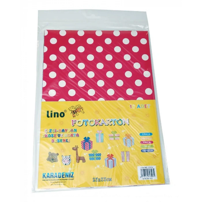 LINO 2701J FOTOKARTON DESENLİ 10 LU 24x34 cm