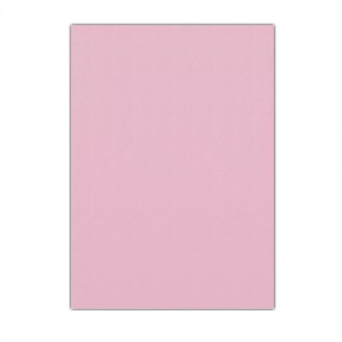 LINO EVA 50x70 PEMBE 10 LU RBE-623