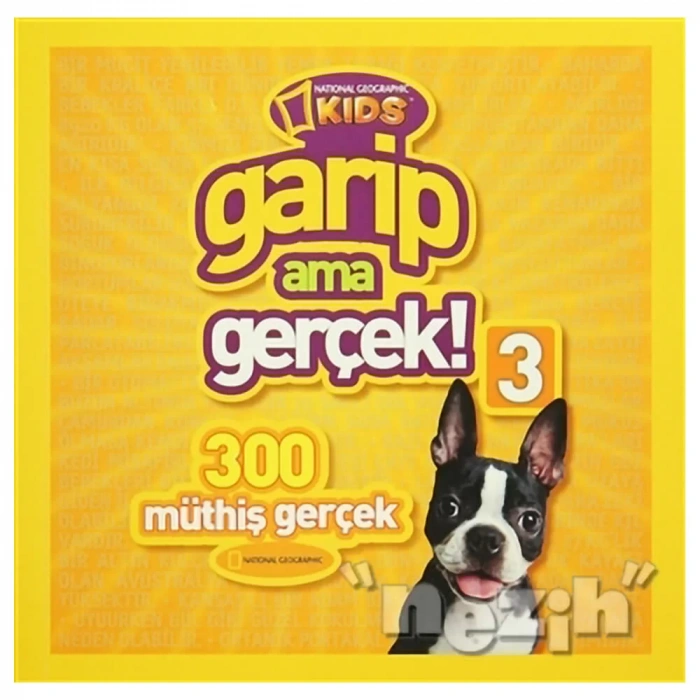 Garip Ama Gerçek 3