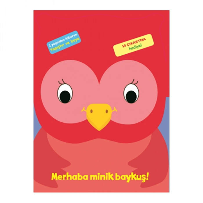 Merhaba Minik Baykuş