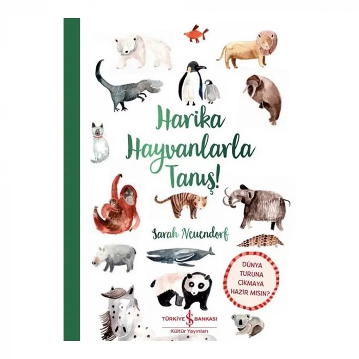 Harika Hayvanlarla Tanış !