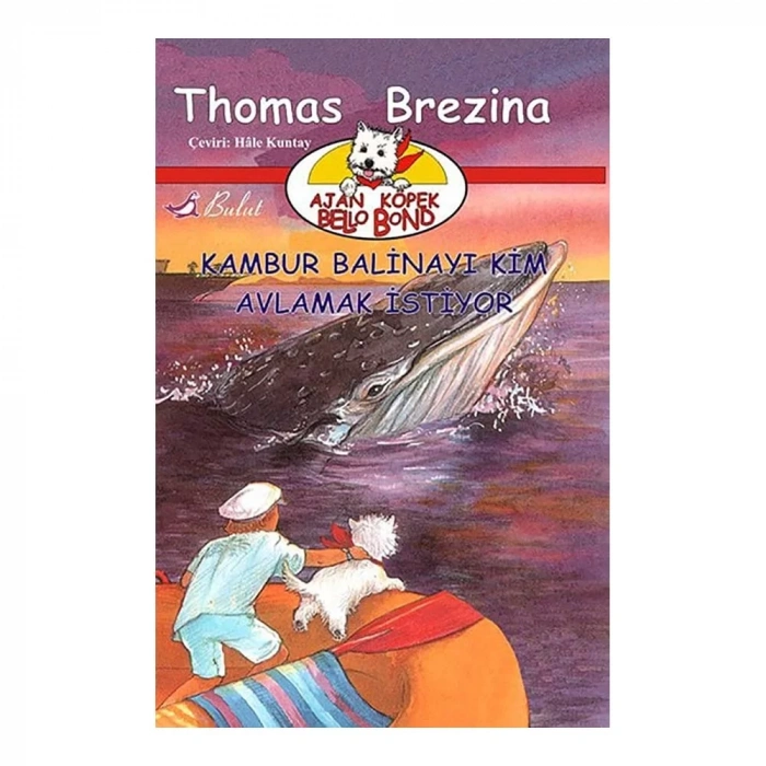 Kambur Balinayı Kim Avlamak İstiyor