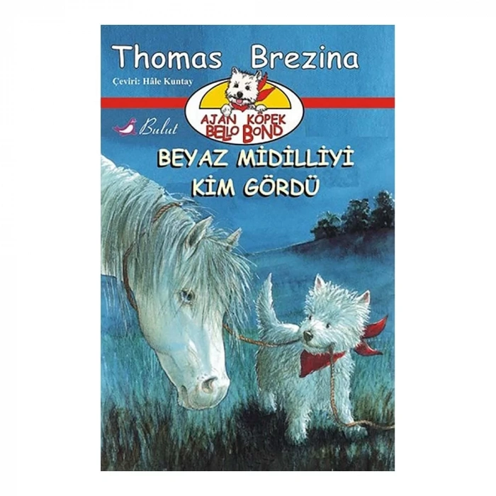Beyaz Midilliyi Kim Gördü
