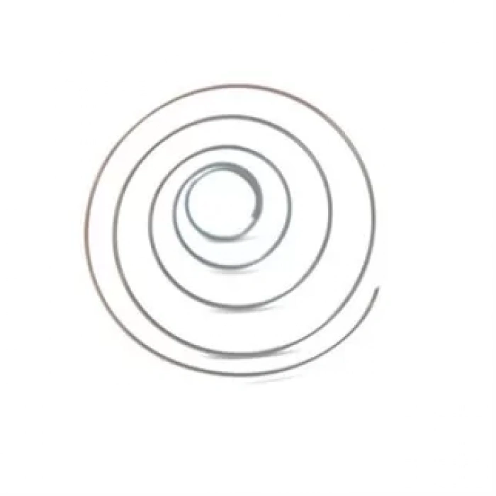 Brother Çift İğne Makinesi Mekik İç Yayı 156557-001