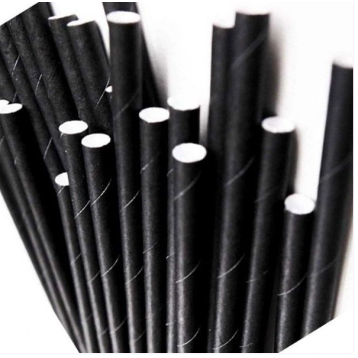 Hijyenik Kağıt Pipet Siyah ( 100 Adet )