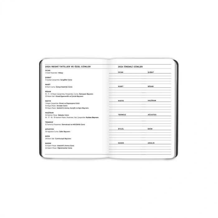 2024 AJANDA KESKİN PRONOTE GÜNLÜK AJANDA 9x14 PEMBE (830443)
