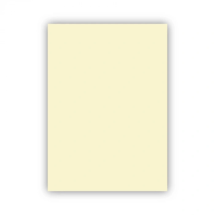 ALEX KOLEJ FON KARTONU 50x70 FİLDİŞİ 160 GR 100 LÜ 1002