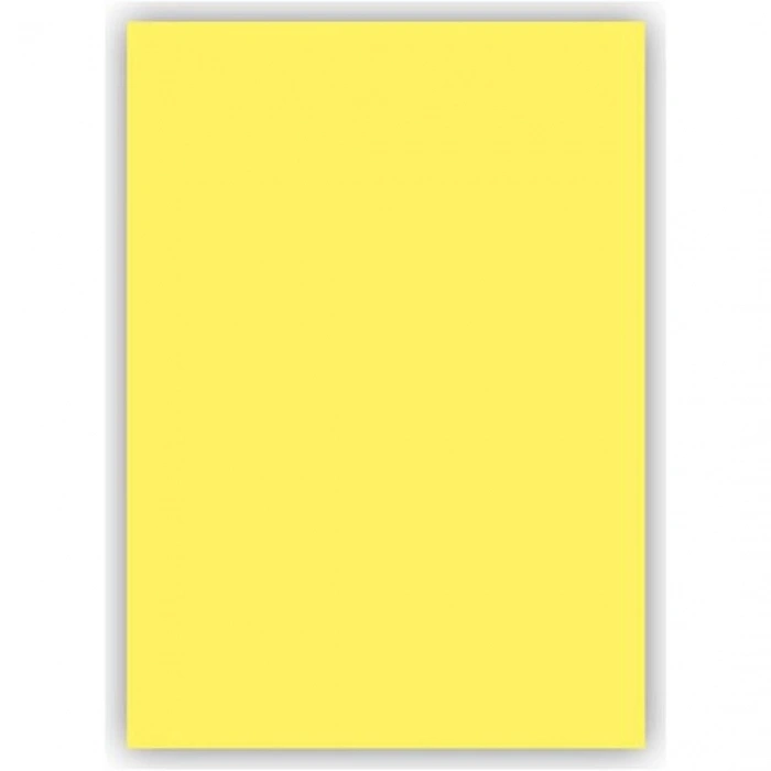 ALEX KOLEJ FON KARTONU 50x70 LİMON SARISI 160 GR 100 LÜ 1053