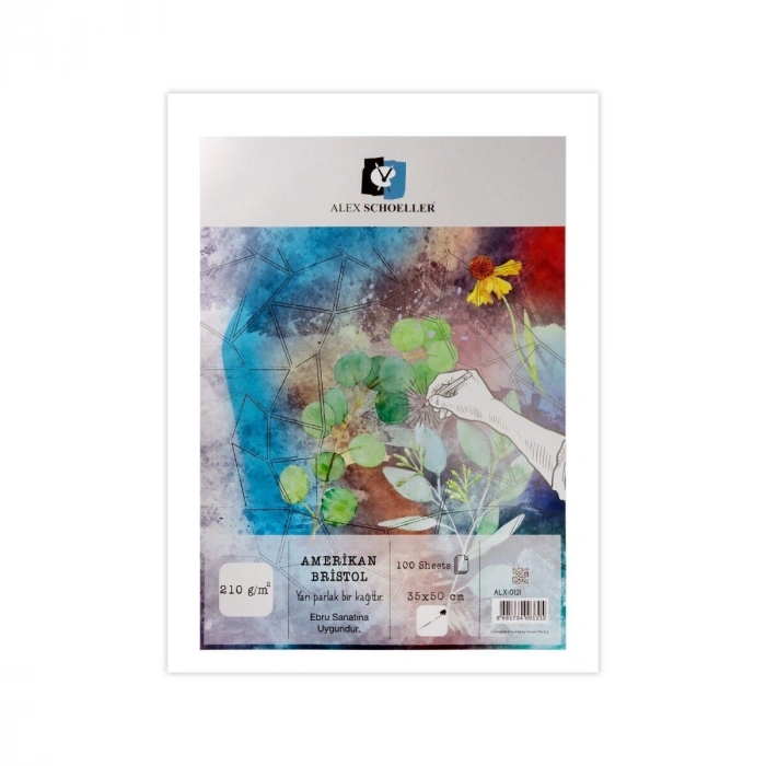 Alex Schoeller Bristol Kağıdı 210gr 35x50cm Amerikan ALX-0121