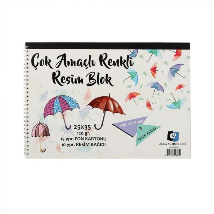 Alex Schoeller Spiralli Çok Amaçlı Resim Defteri 25x35 cm 25li