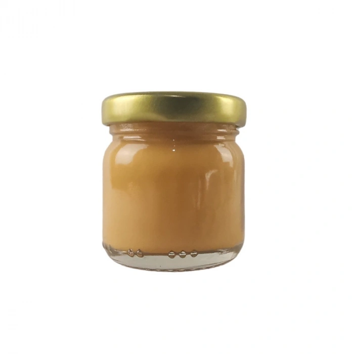 Art Elegant Seramik Ve Çini Boya 40gr 8848 Hardal Sarı