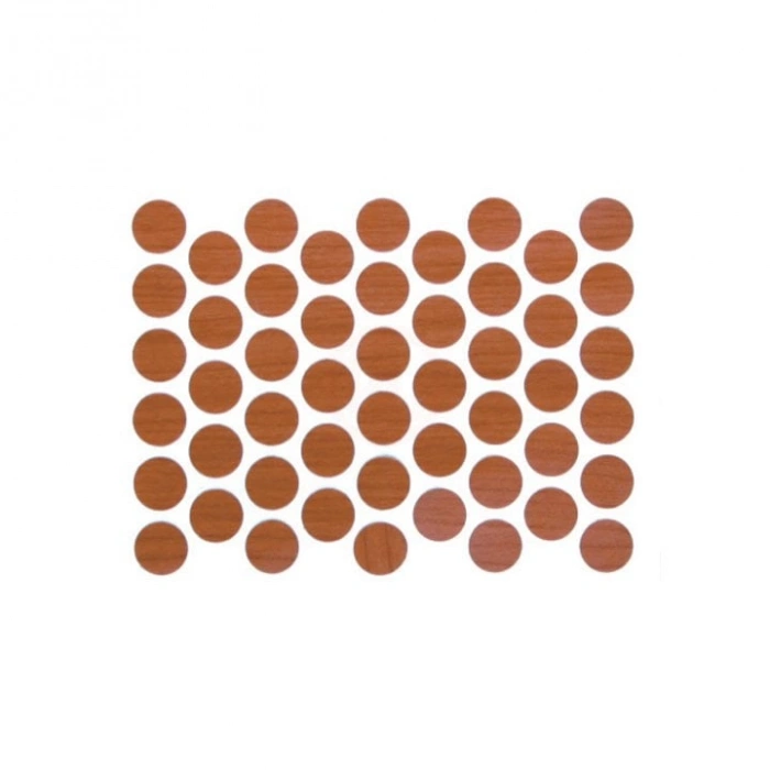 Ayder Parlak Yapışkan Tapa Ø14 Kartela