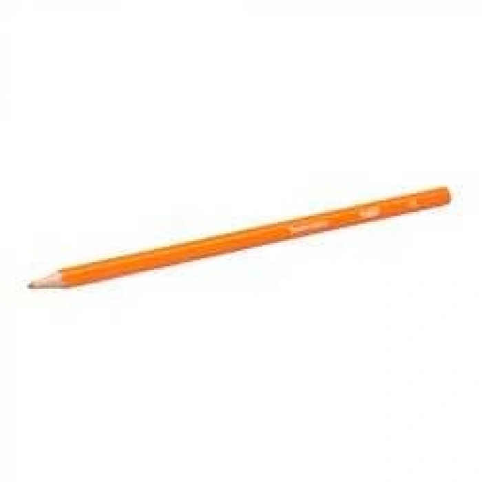 Bic Tropicolors 2 Kuru Boya Tam Boy 12li