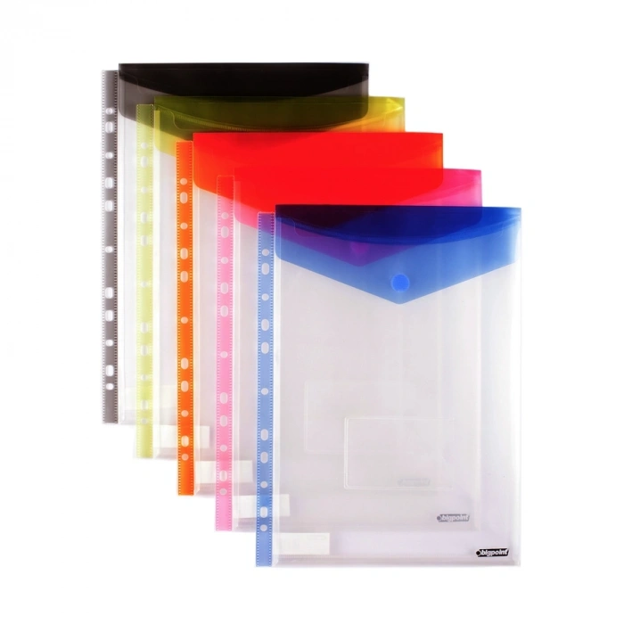 Bigpoint 11 Delikli Dik Cırtlı Dosya A4 Mavi