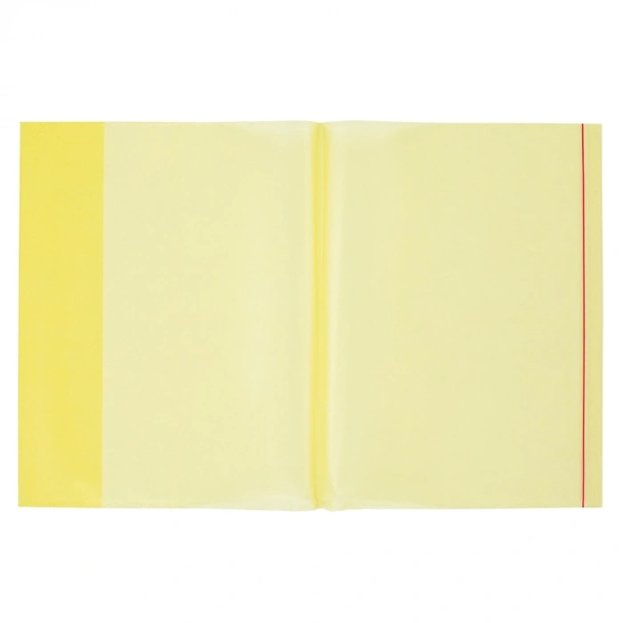 Bigpoint A4 Hazır Defter Kabı 5li Paket Şeffaf Sarı