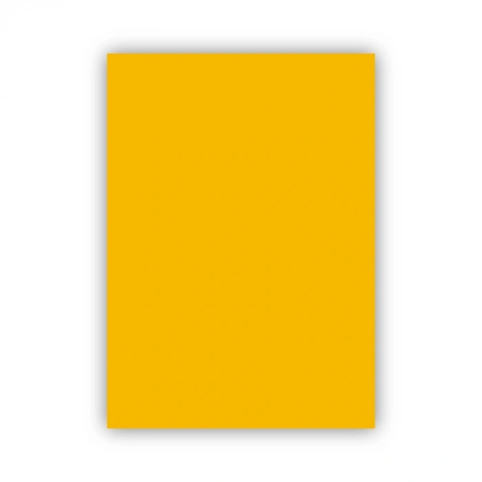 Bigpoint Fon Kartonu 50x70cm 120 Gram Altın Sarısı