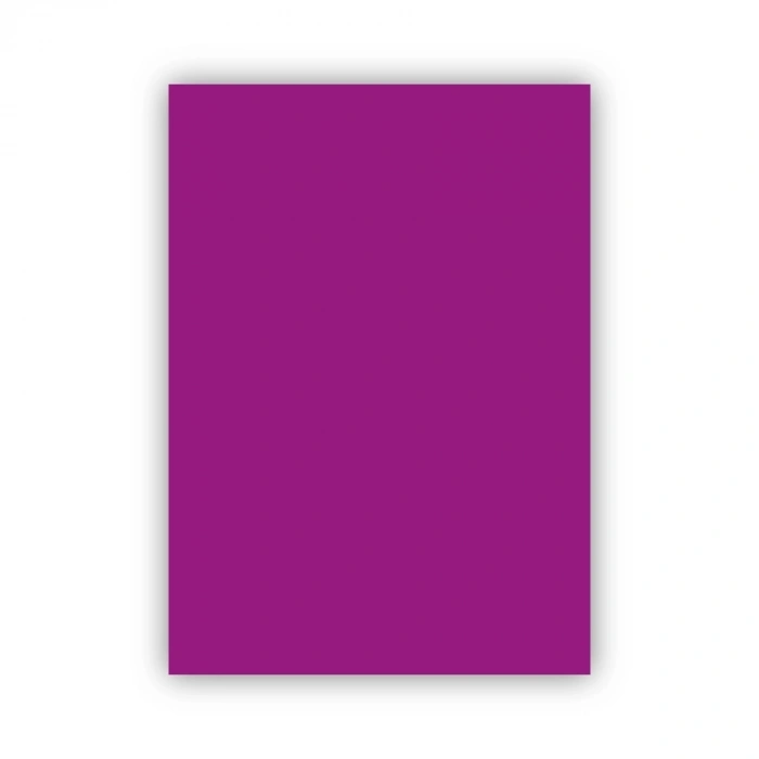 Bigpoint Fon Kartonu 50x70cm 120 Gram Mor