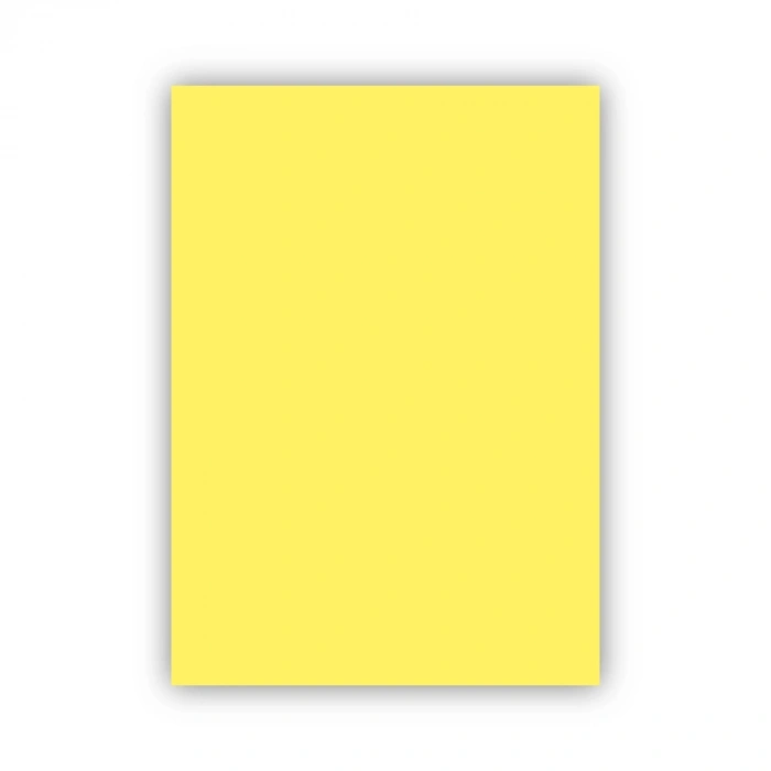 Bigpoint Fon Kartonu 50x70cm 160 Gram Sarı