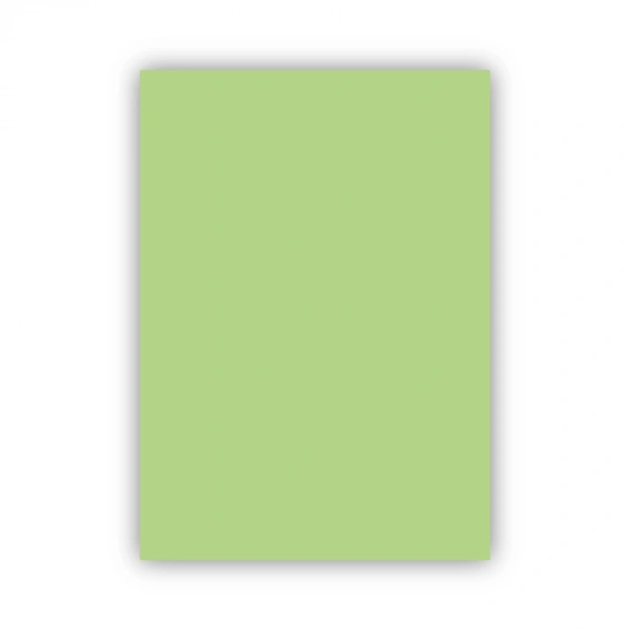 Bigpoint Fon Kartonu 50x70cm 160 Gram Uçuk Yeşil