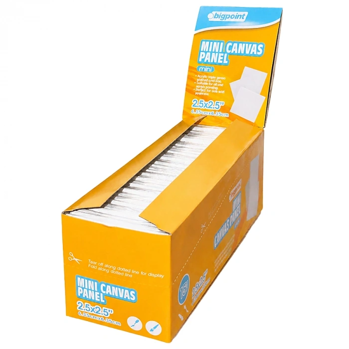 Bigpoint Mini Tuval 2.5x2.5 3lü Set