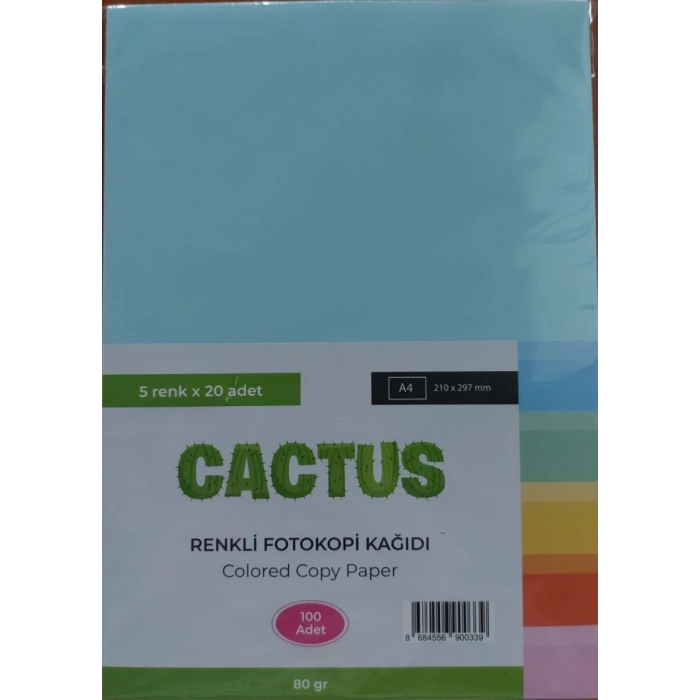 Cactus Fotokopi Kağıdı Renkli A4 80 Gr. 100Lü 5 Renk