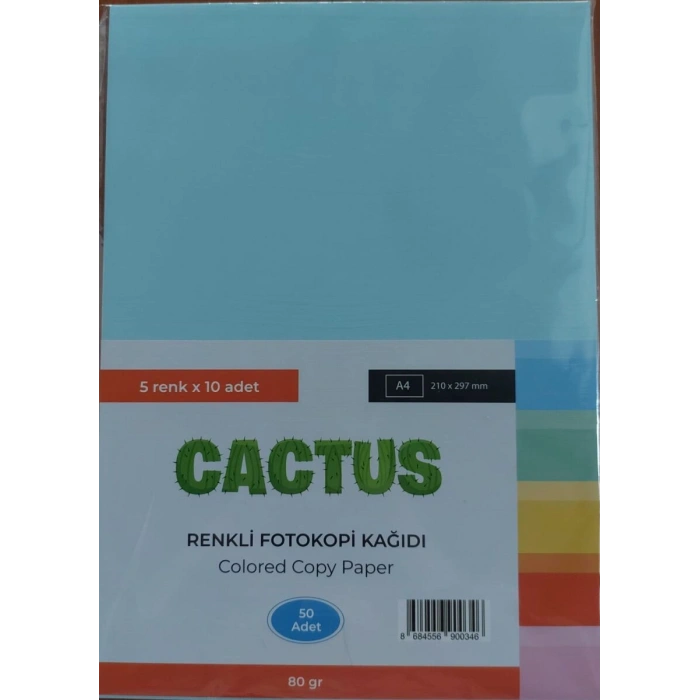 Cactus Fotokopi Kağıdı Renkli A4 80 gr. 50li 5 Renk