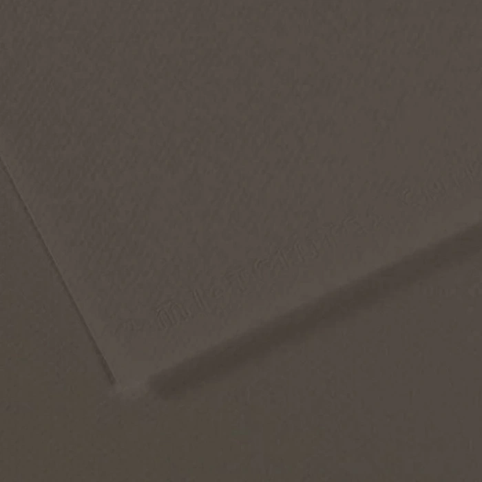 Canson Fon Kartonu (Dokulu) Mı-Teıntes Sh Canmt 50x65 160 GR Grey 184