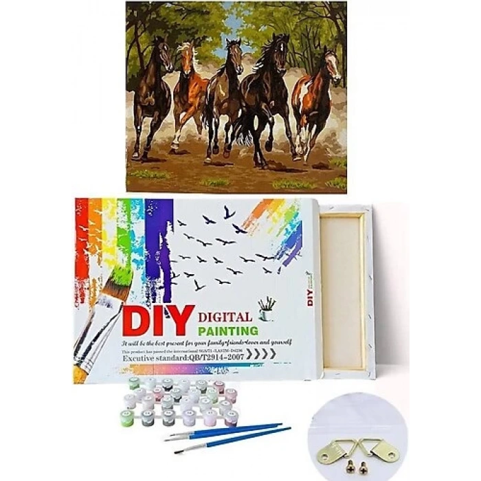 DIY TUVAL SETİ RESİMLİ NUMARALI 40x50 cm