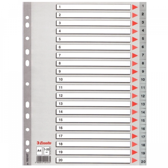 Esselte Seperatör 1-20 Rakamlı Plastik A4 100107