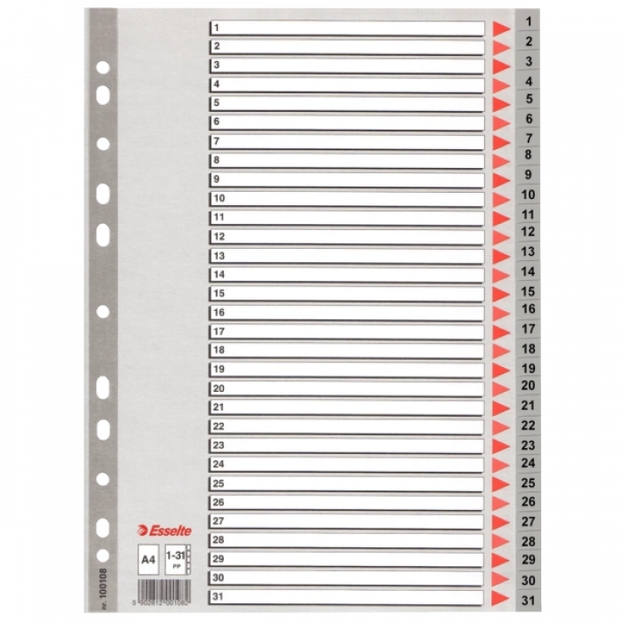 Esselte Seperatör 1-31 Rakamlı Plastik A4 100108