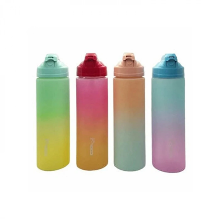 GIPTA PİPETLİ MATARA PCTG 4 RENK MIX 700 ML K7587