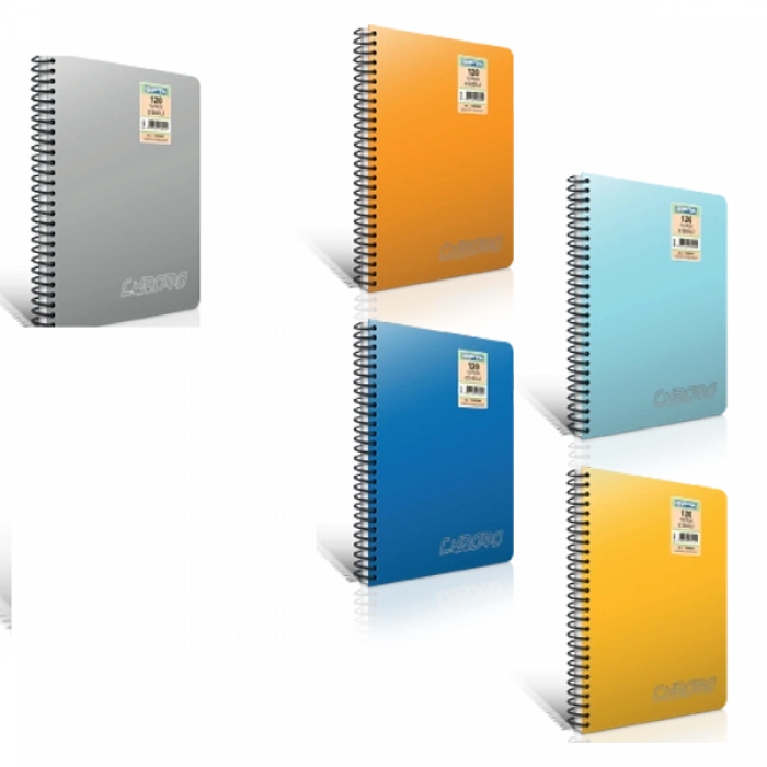 Gıpta Spiralli Defter Chromo Plastik Kapak Kareli 120 YP A4 1341