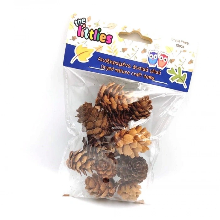 Luna Doğal Kuru Çam Kozalakları 12li