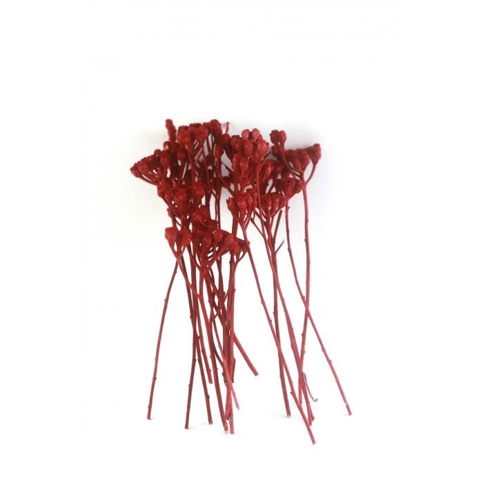 Odak Hobi Poşet Ağaç Kırmızı