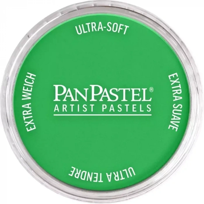 PanPastel Ultra Soft Artist Pastel Boya 640.5 Permanent Green
