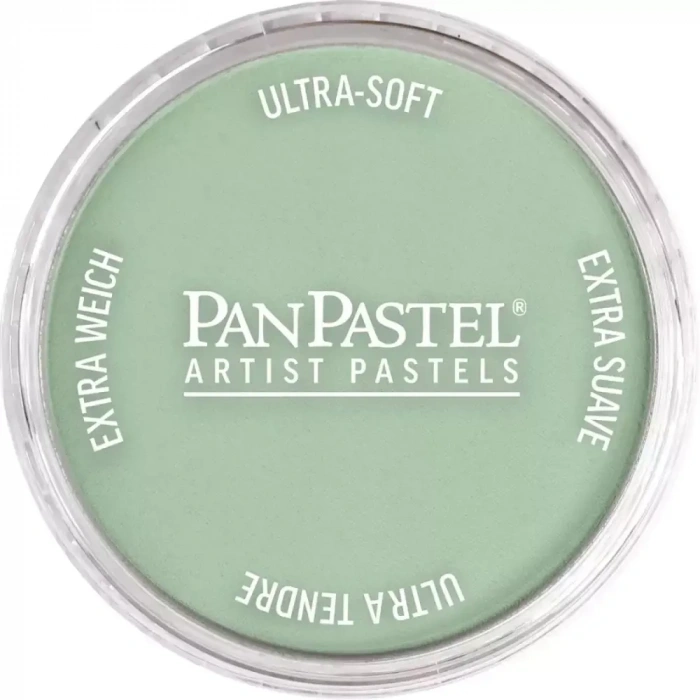 PanPastel Ultra Soft Artist Pastel Boya 660.8 Chromium Oxide Green Tint