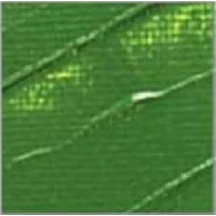 Pebeo Studio Akrilik Boya 500ml No:61 Green Earth