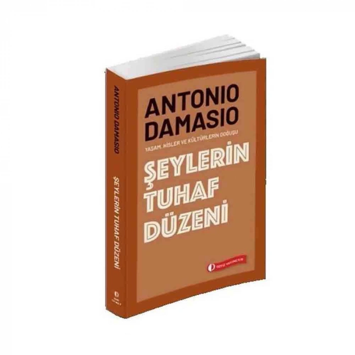 Şeylerin Tuhaf Düzeni