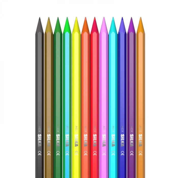 SİLKA 12 RENK TÜP KURU BOYA KL2-HS12-12T