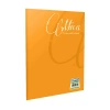 GIPTA MİCA PLASTİK KAPAK DEFTER A5 KARELİ 80 YAPRAK (2055)