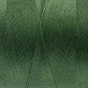 Wonderfil Polyester Dikiş İpliği - DS848 - Parsley